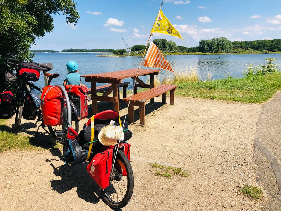 Weehoo aanhangfiets met kind — foto 5